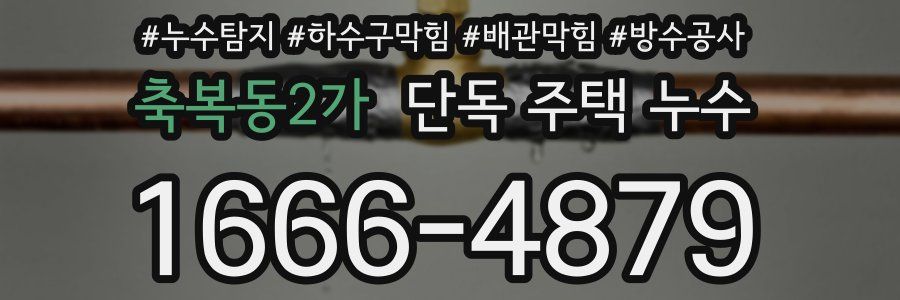 축복동2가 단독 주택 누수