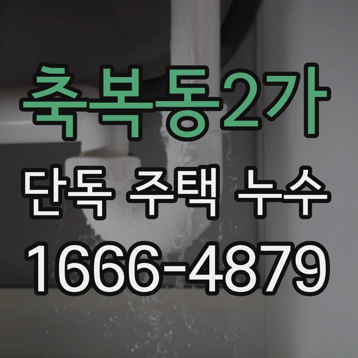 축복동2가 단독 주택 누수