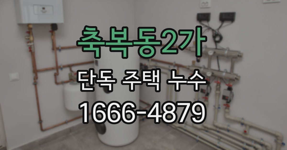 축복동2가 단독 주택 누수