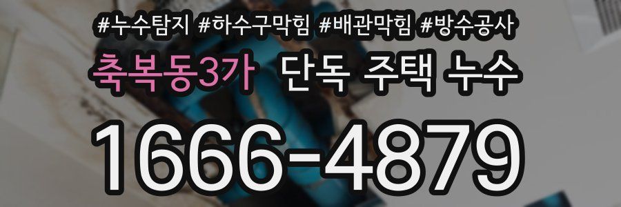 축복동3가 단독 주택 누수