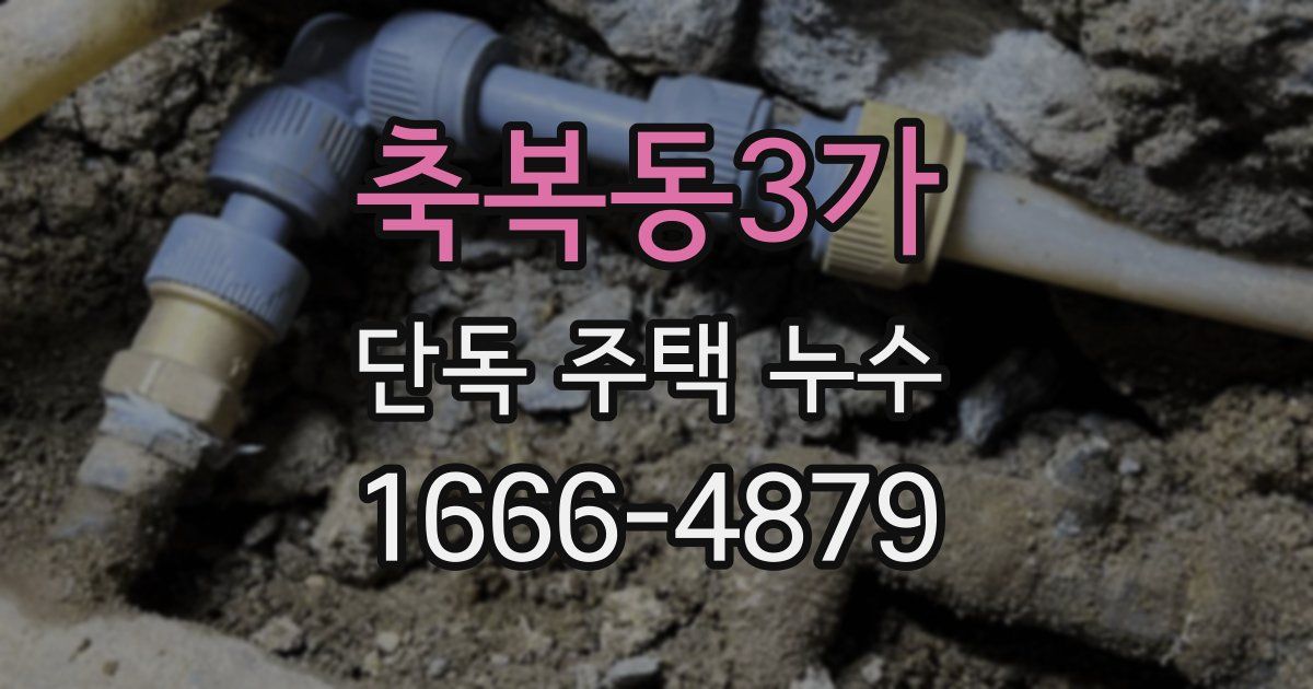 축복동3가 단독 주택 누수