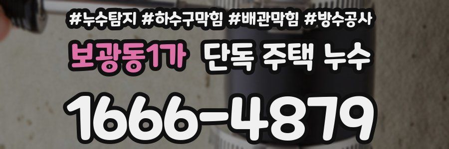 보광동1가 단독 주택 누수