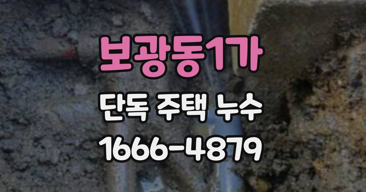 보광동1가 단독 주택 누수