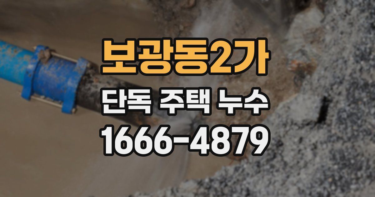 보광동2가 단독 주택 누수