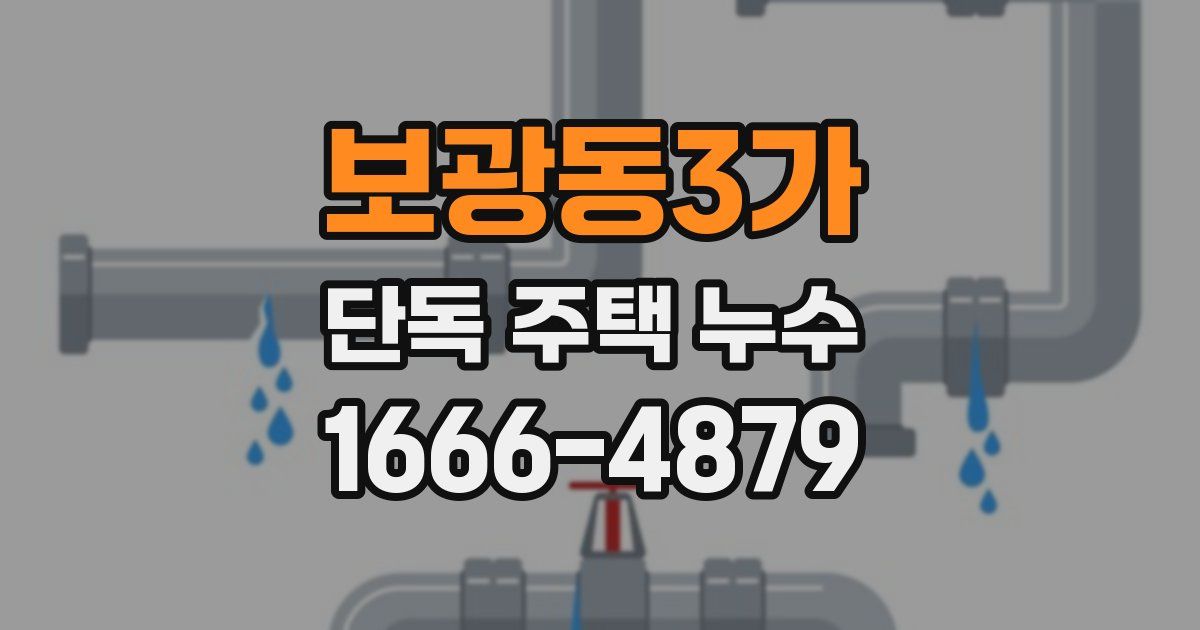 보광동3가 단독 주택 누수