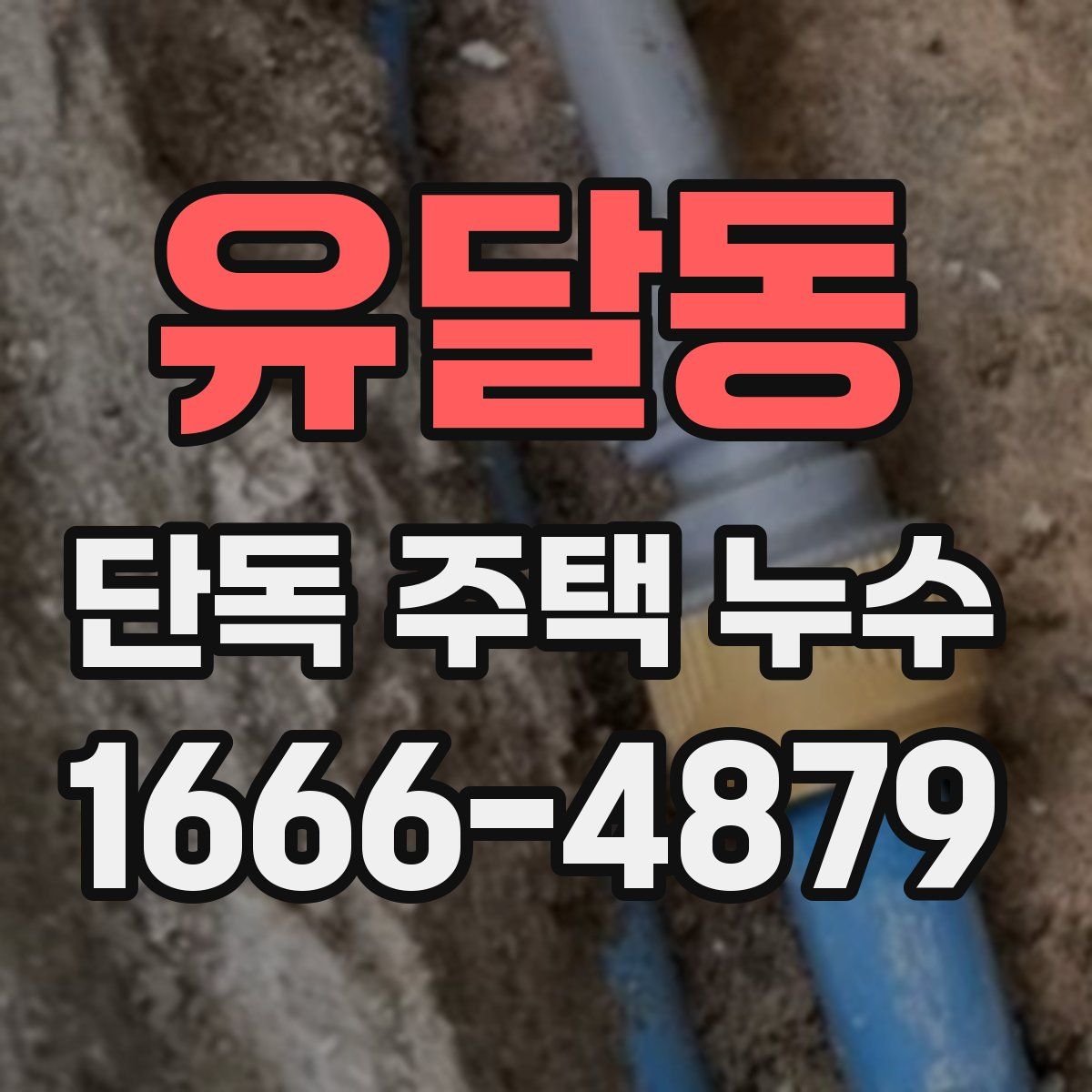 유달동 단독 주택 누수