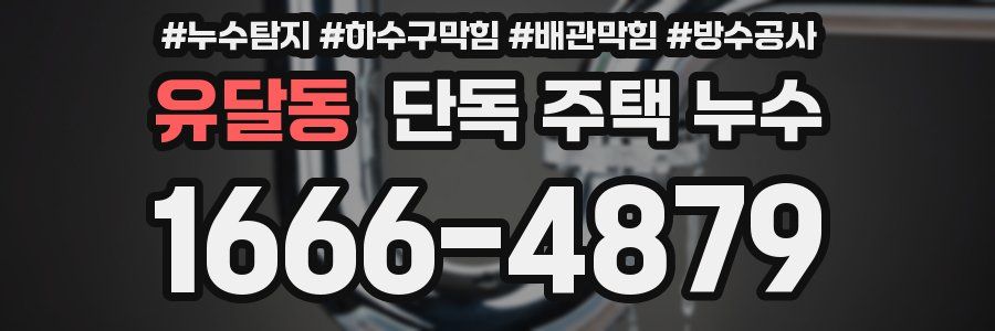 유달동 단독 주택 누수