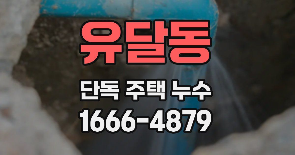 유달동 단독 주택 누수