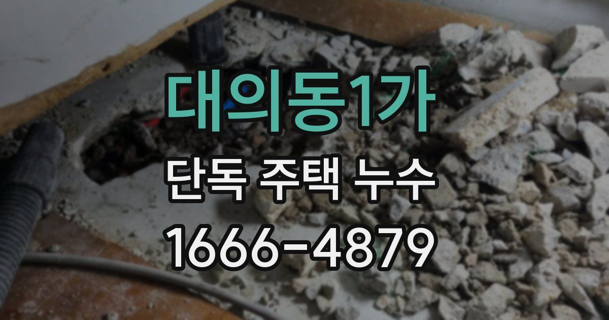 대의동1가 단독 주택 누수