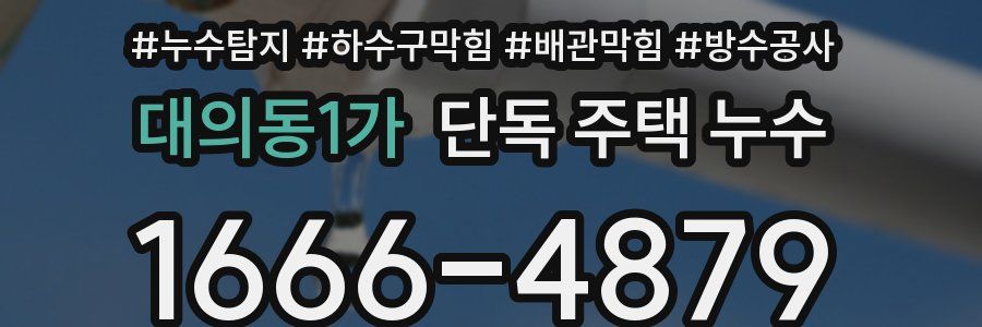 대의동1가 단독 주택 누수