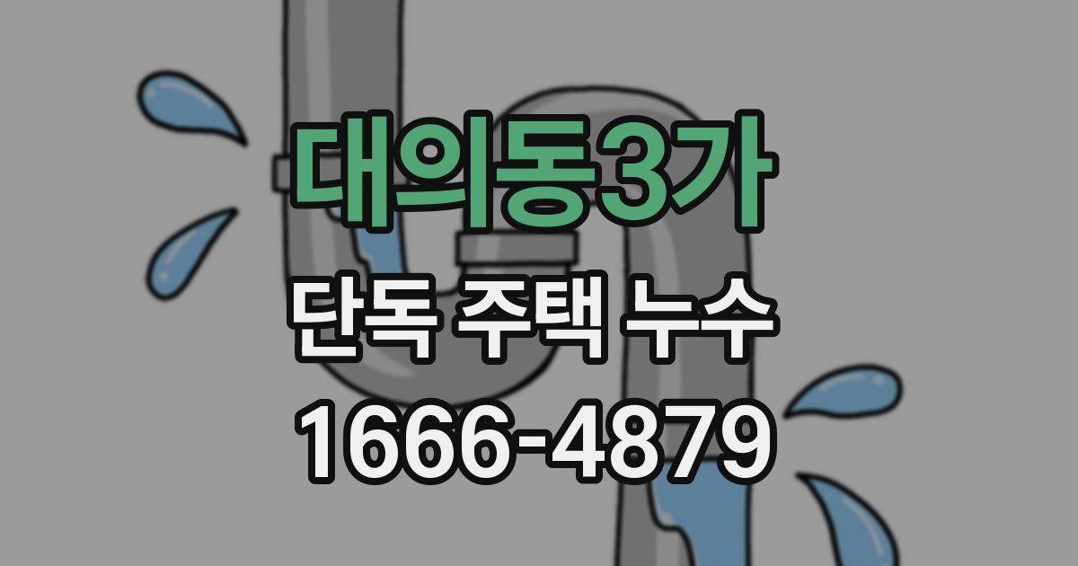 대의동3가 단독 주택 누수