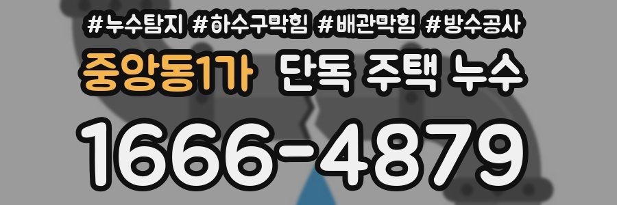 중앙동1가 단독 주택 누수