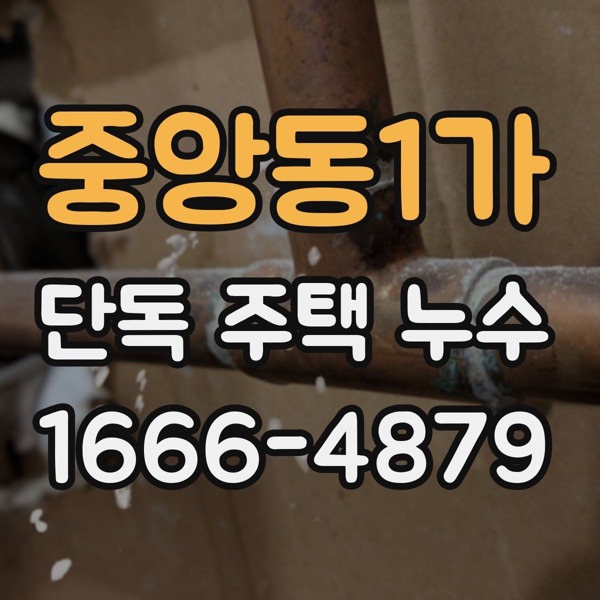 중앙동1가 단독 주택 누수