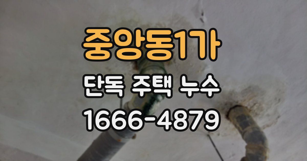 중앙동1가 단독 주택 누수