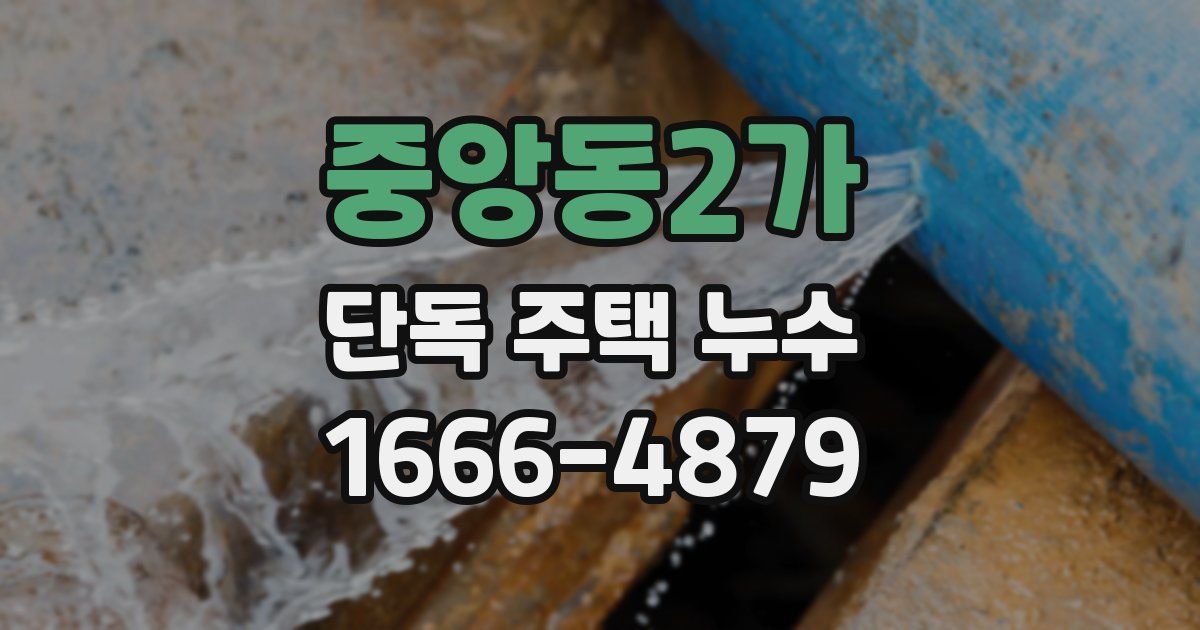 중앙동2가 단독 주택 누수