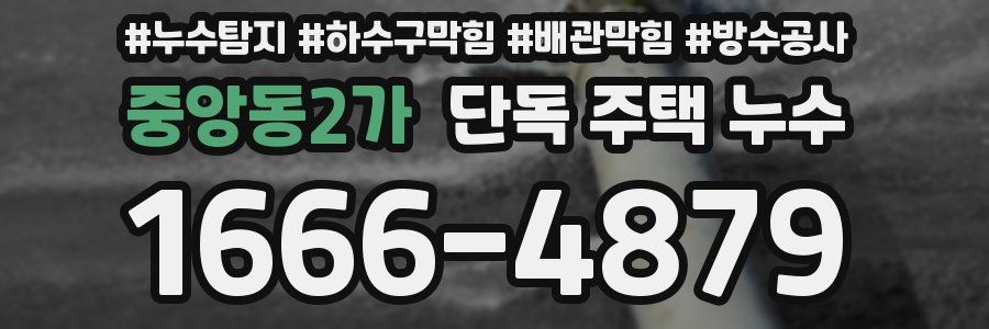 중앙동2가 단독 주택 누수