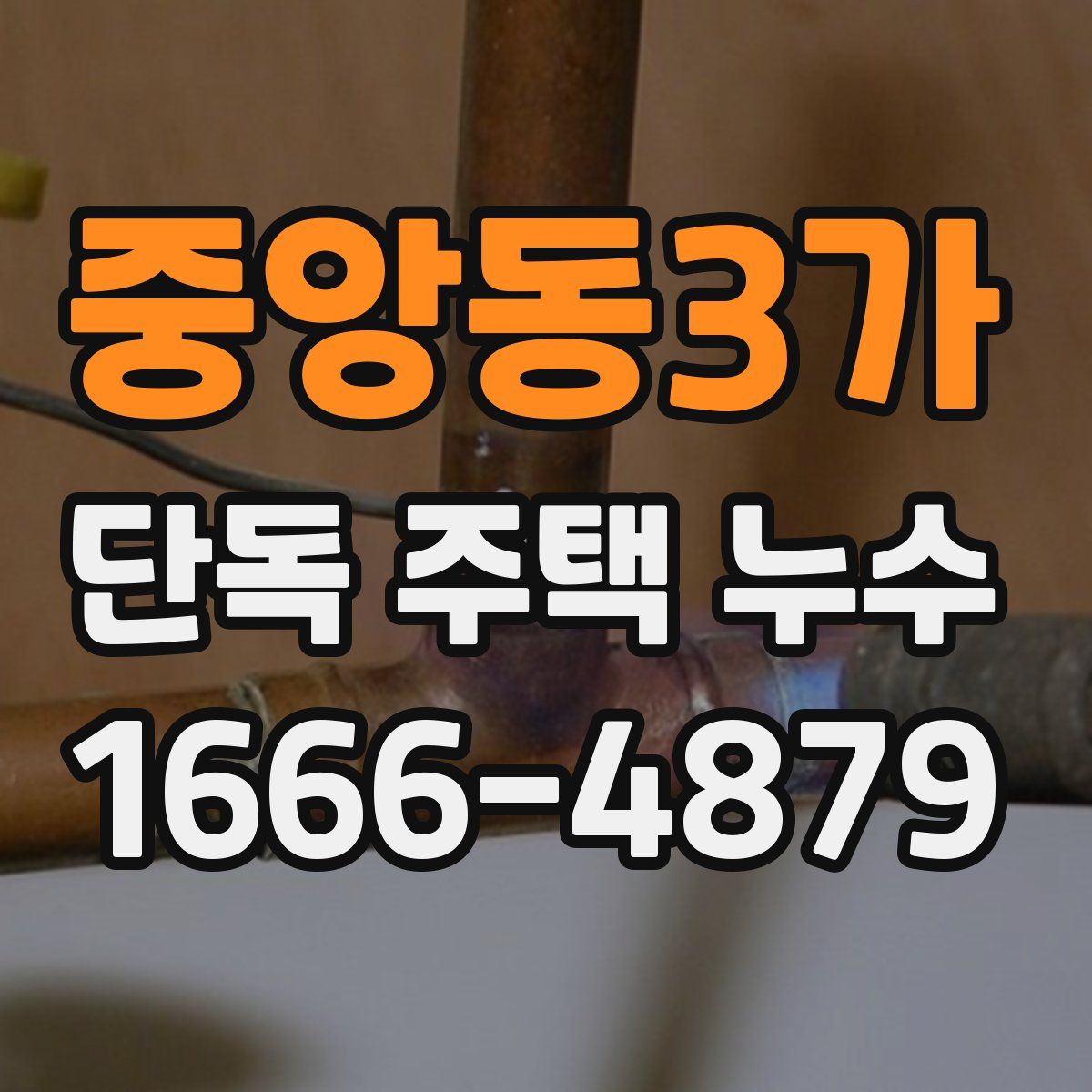 중앙동3가 단독 주택 누수