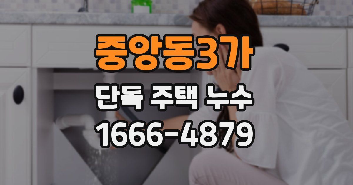 중앙동3가 단독 주택 누수