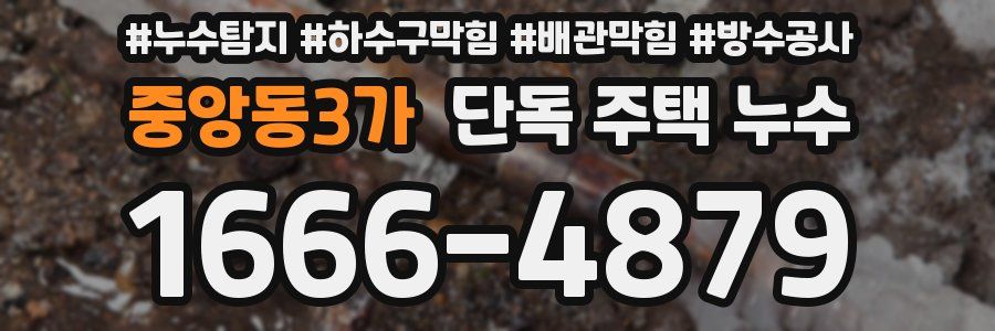 중앙동3가 단독 주택 누수