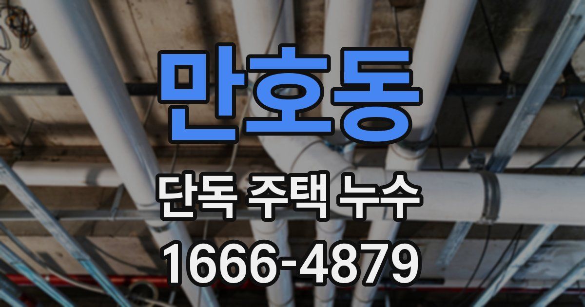 만호동 단독 주택 누수