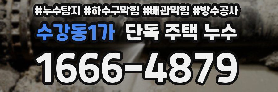 수강동1가 단독 주택 누수