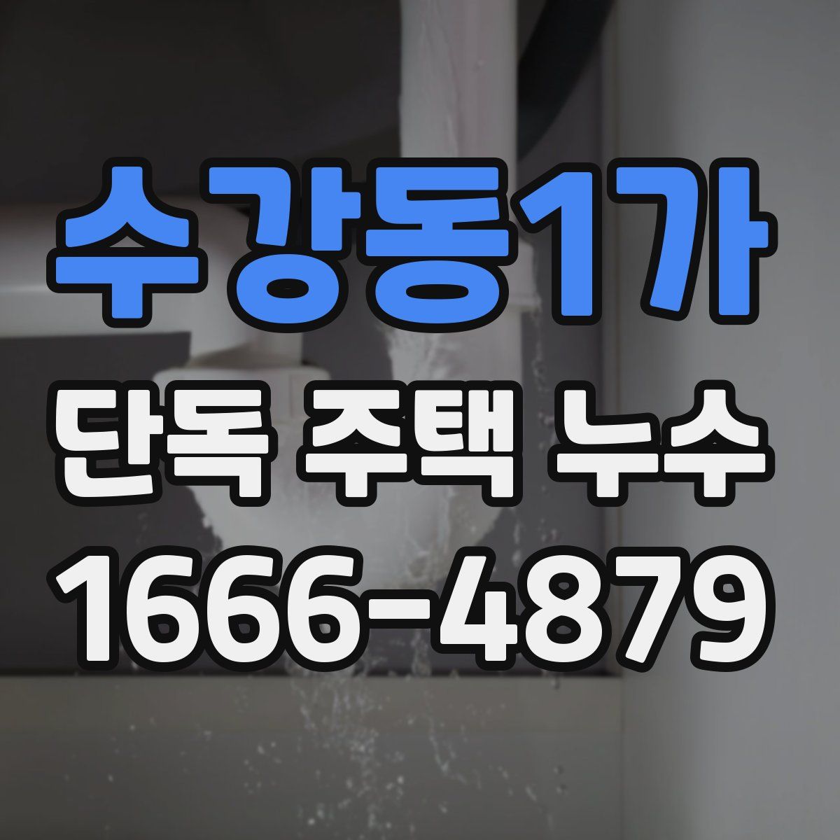 수강동1가 단독 주택 누수