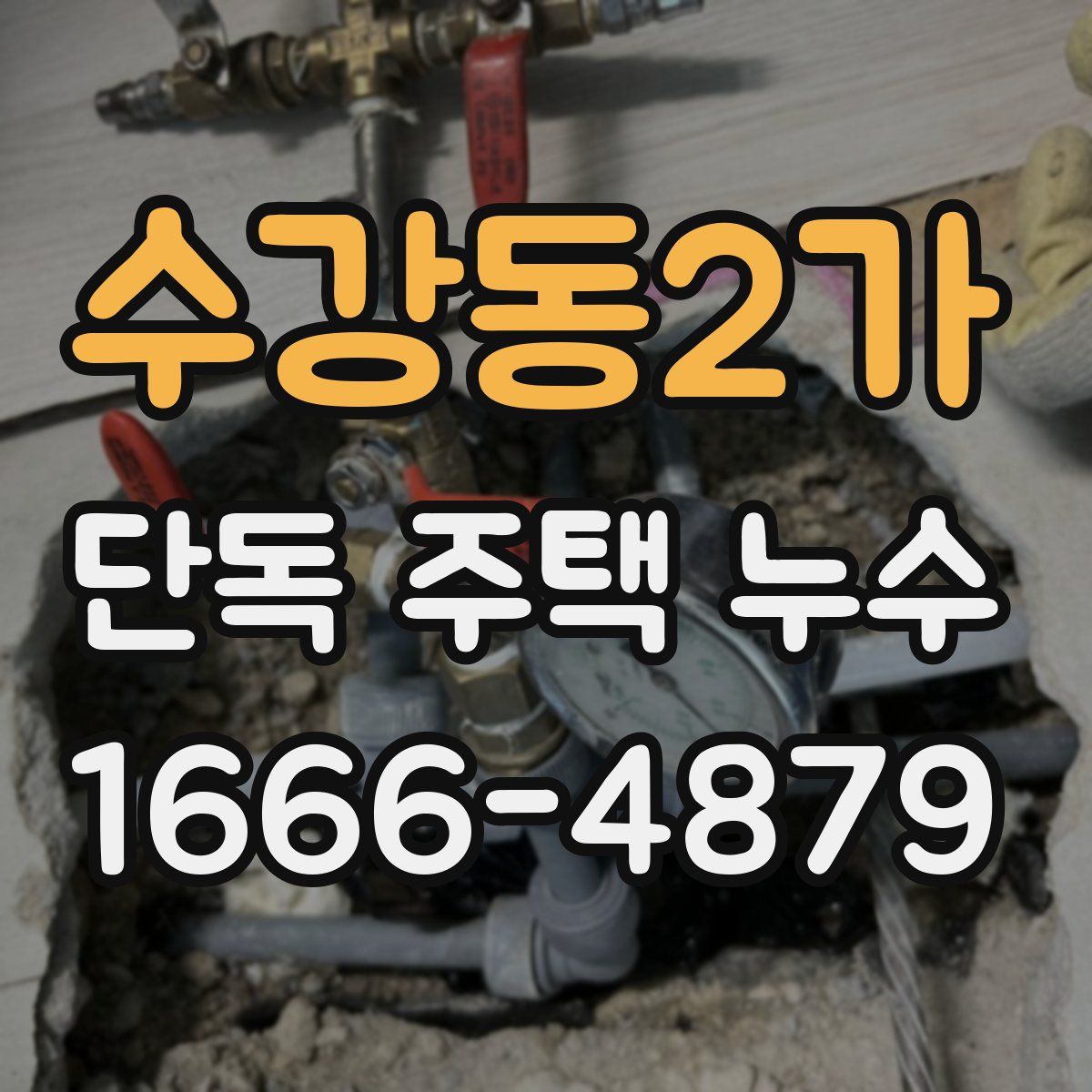 수강동2가 단독 주택 누수