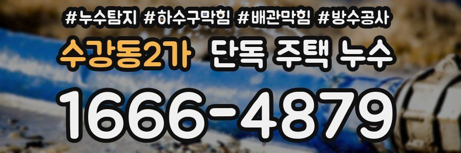 수강동2가 단독 주택 누수