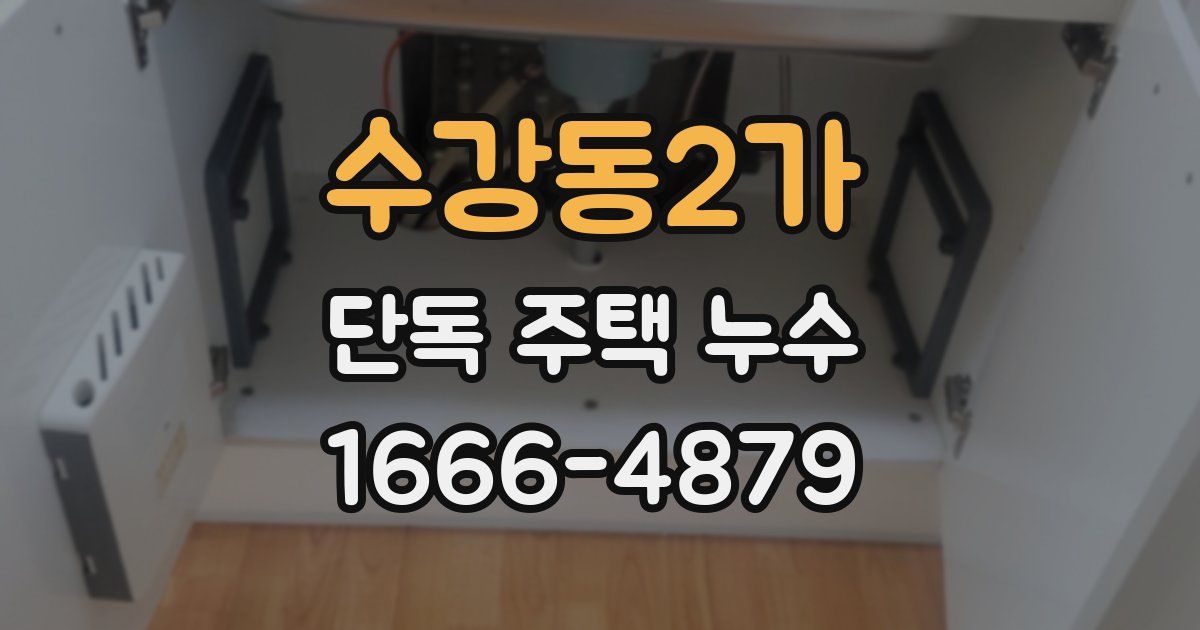 수강동2가 단독 주택 누수