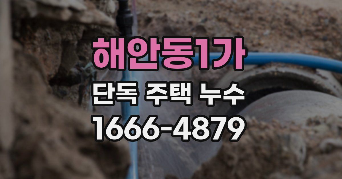 해안동1가 단독 주택 누수