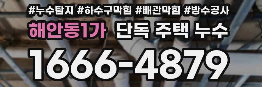 해안동1가 단독 주택 누수