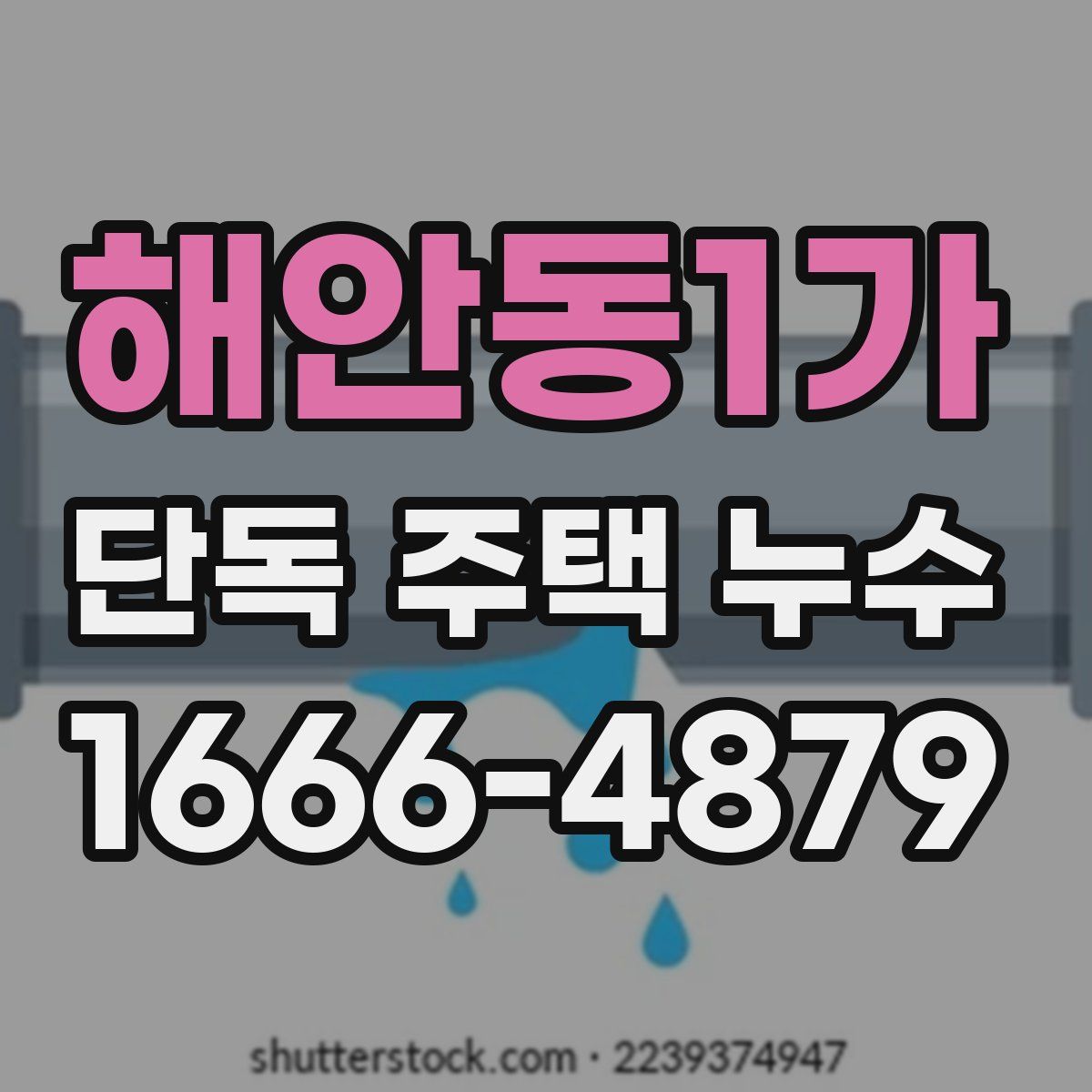 해안동1가 단독 주택 누수