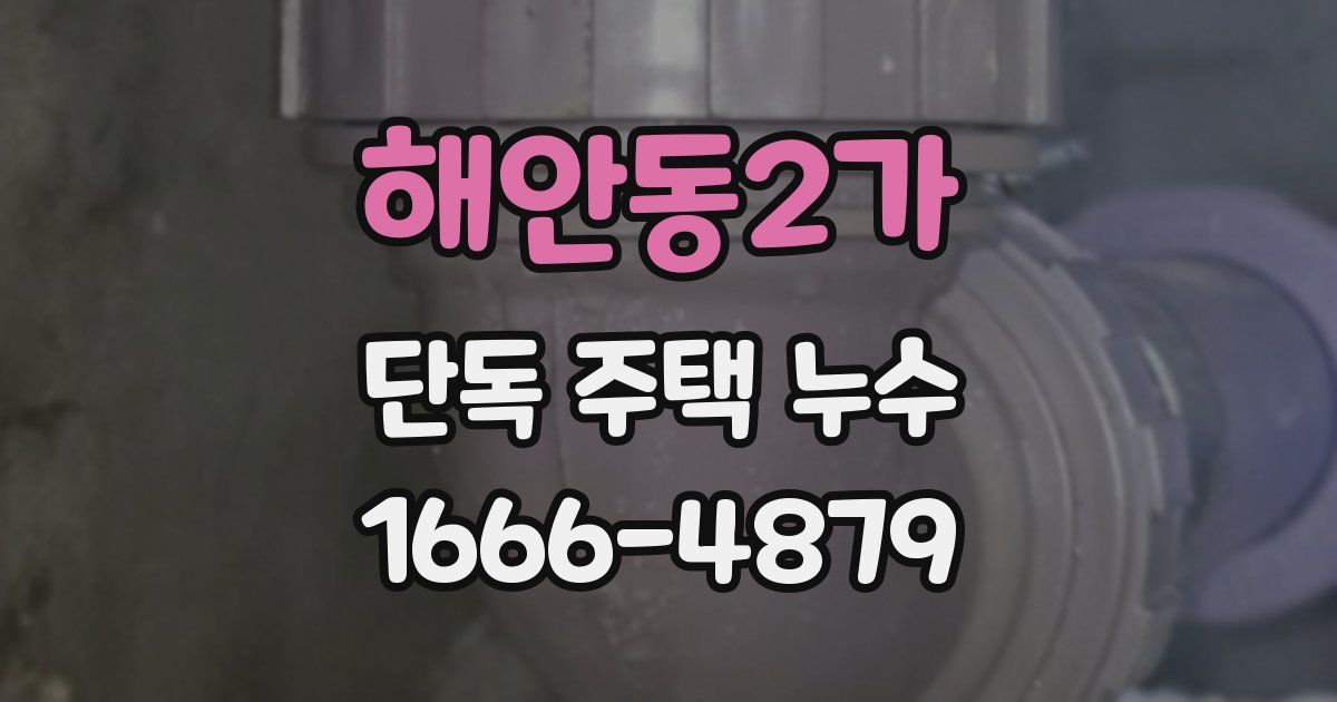 해안동2가 단독 주택 누수