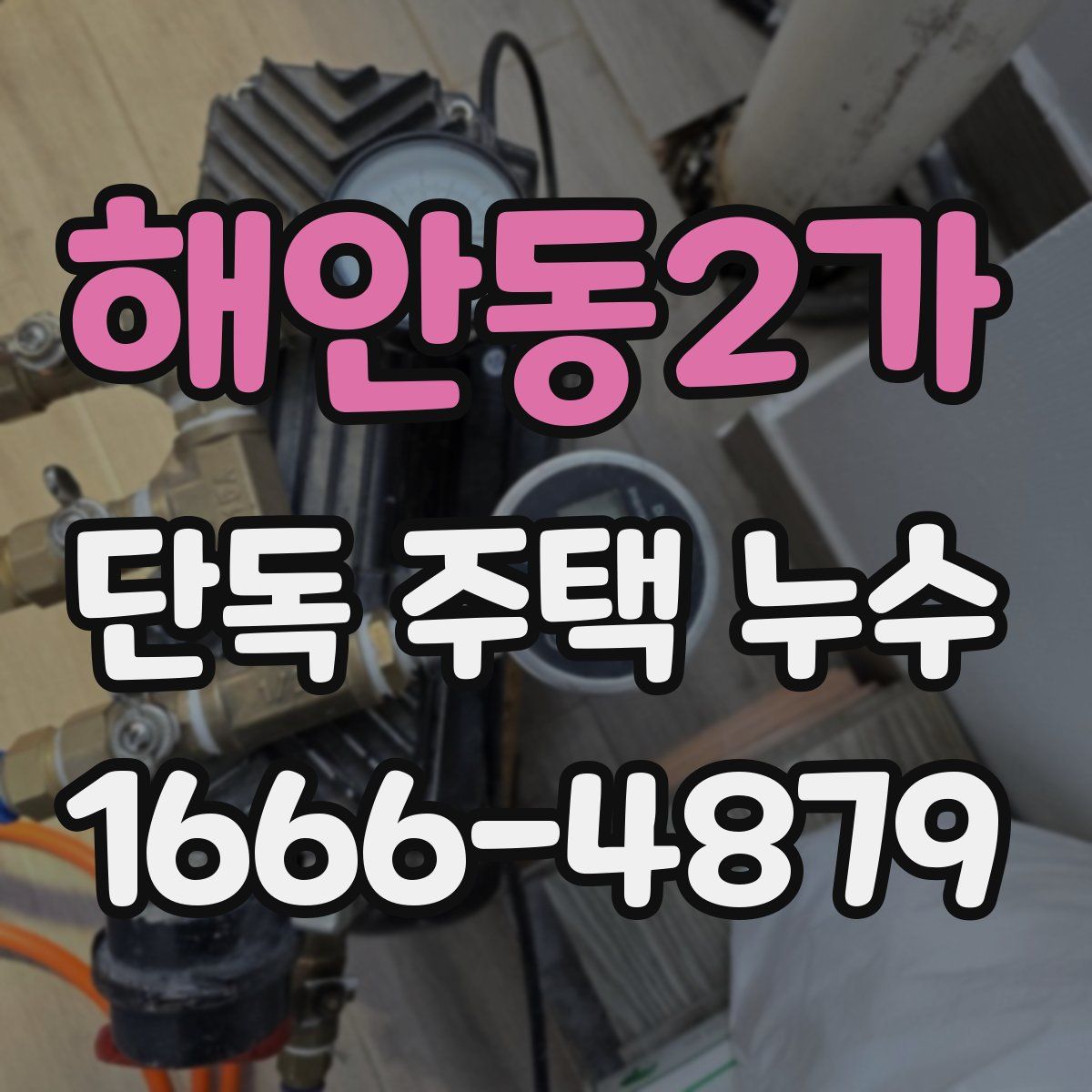 해안동2가 단독 주택 누수