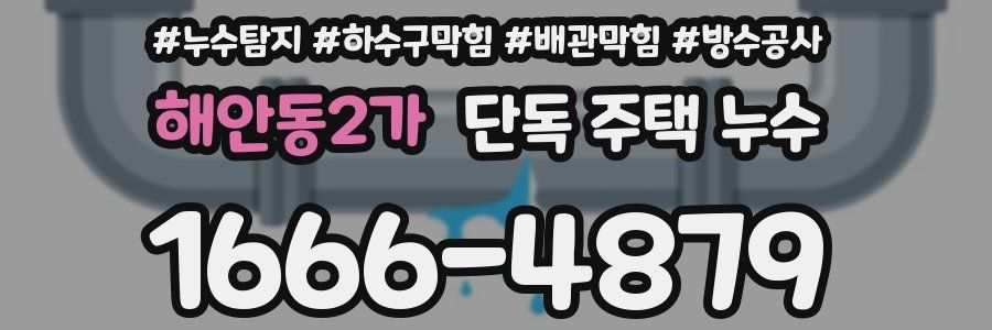 해안동2가 단독 주택 누수