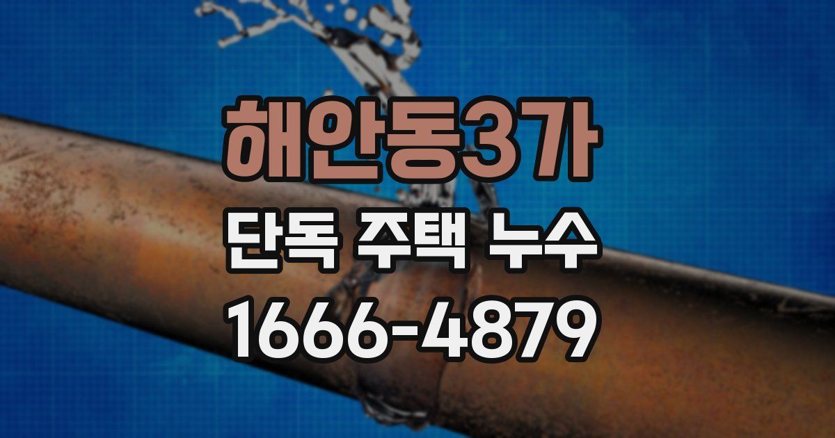 해안동3가 단독 주택 누수