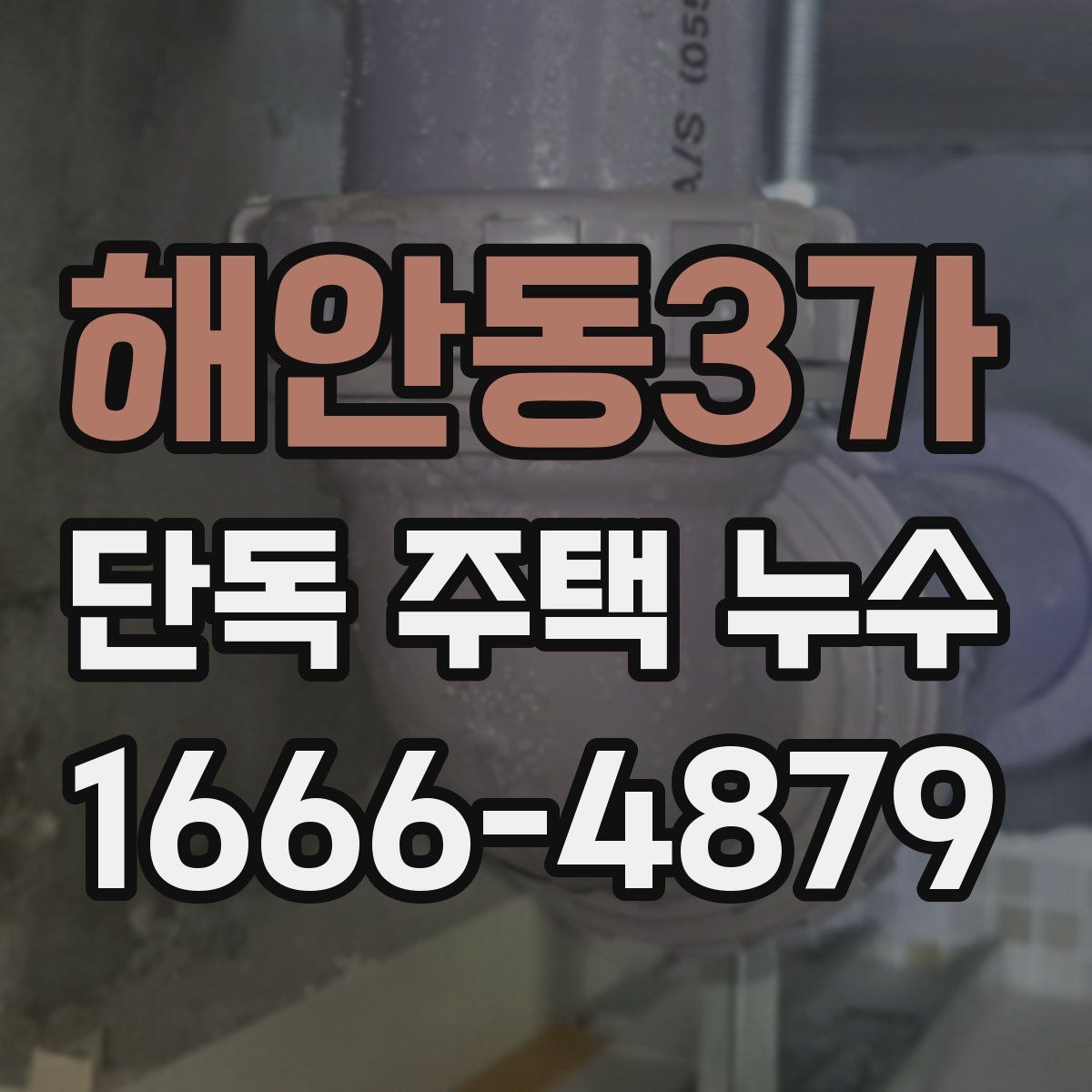 해안동3가 단독 주택 누수