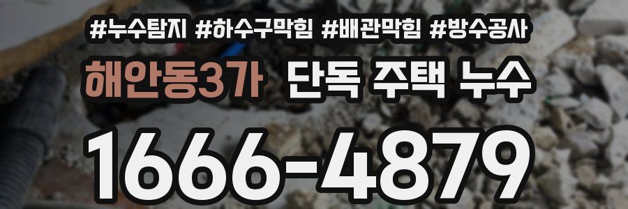 해안동3가 단독 주택 누수