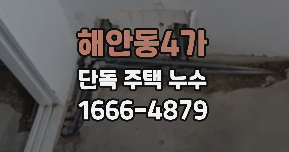 해안동4가 단독 주택 누수