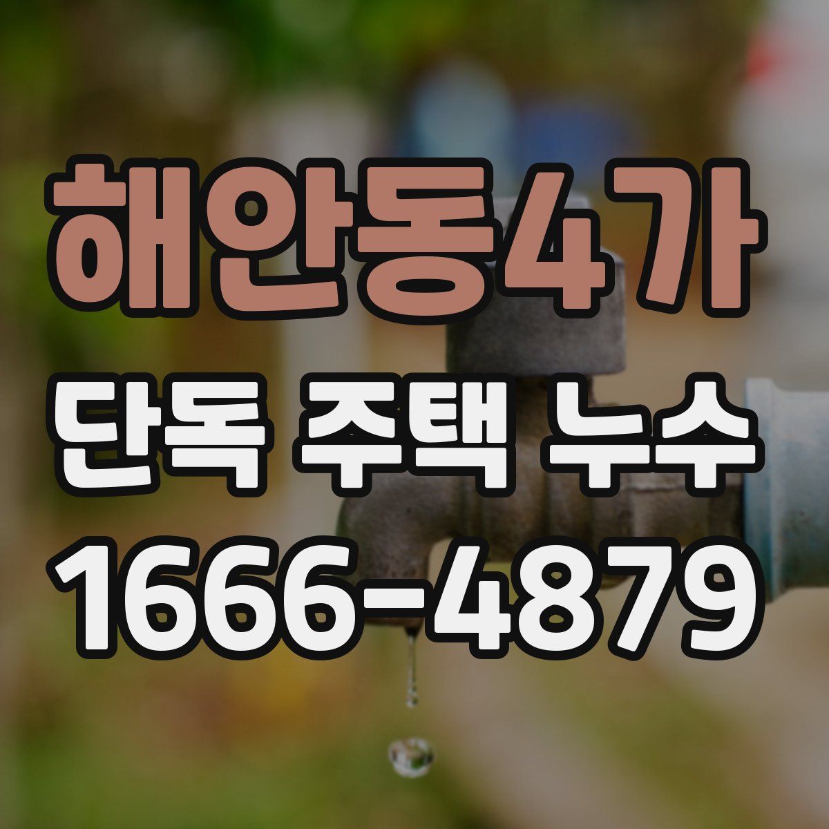 해안동4가 단독 주택 누수
