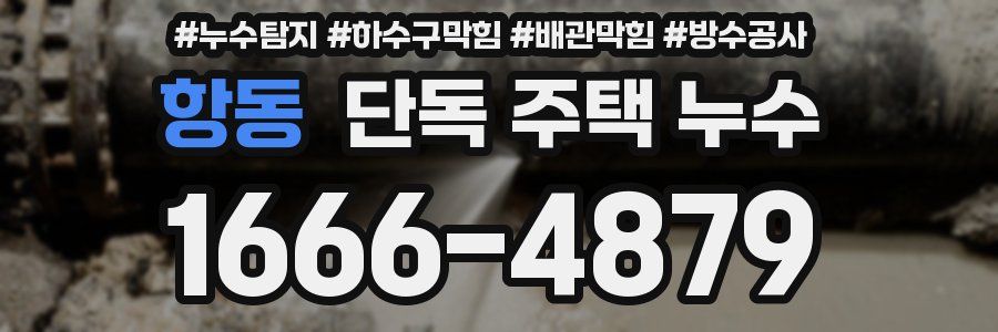 항동 단독 주택 누수