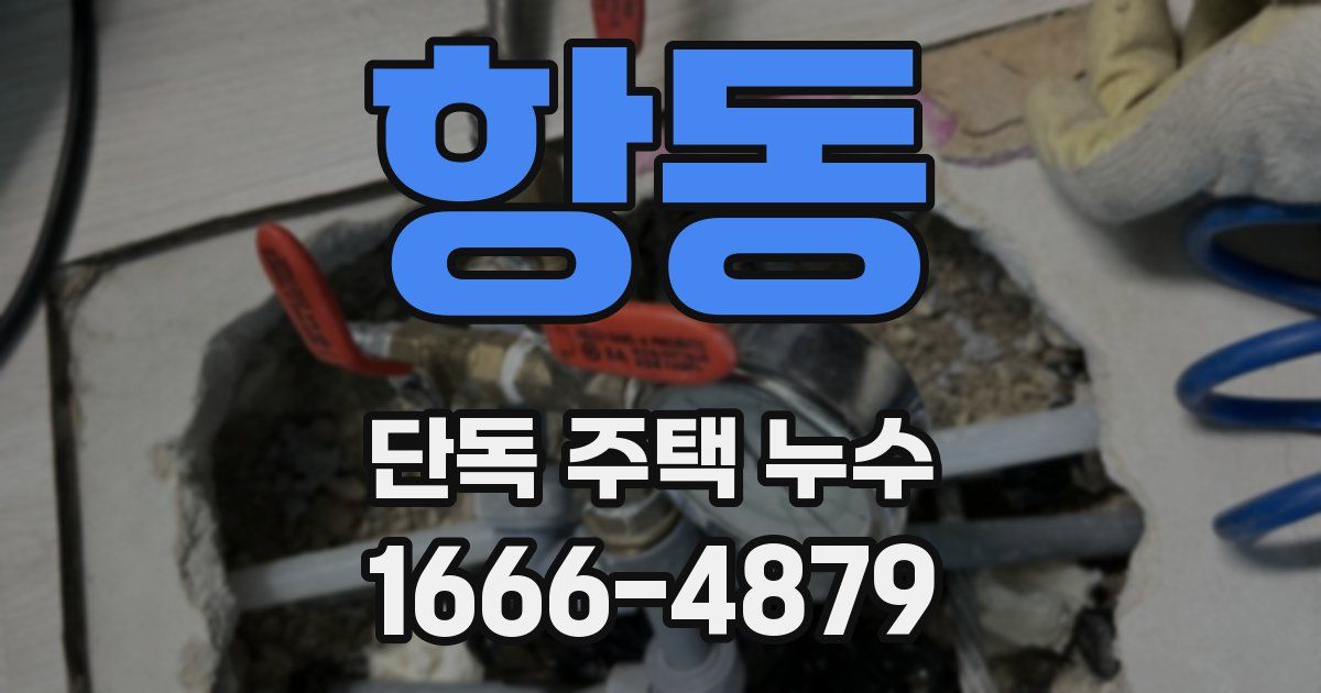 항동 단독 주택 누수