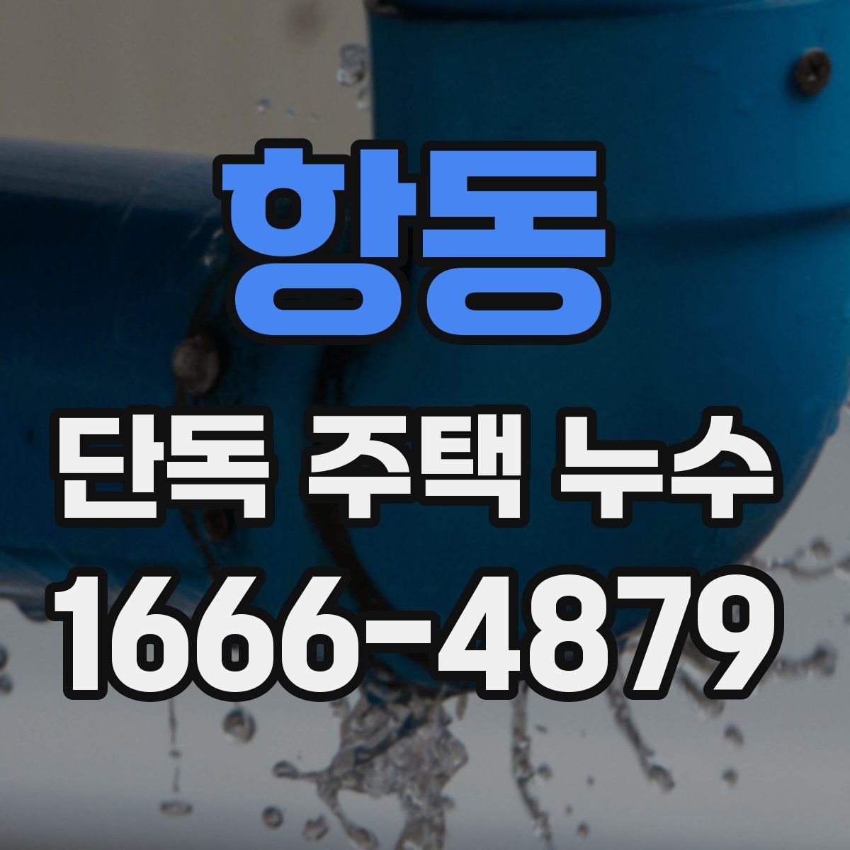 항동 단독 주택 누수