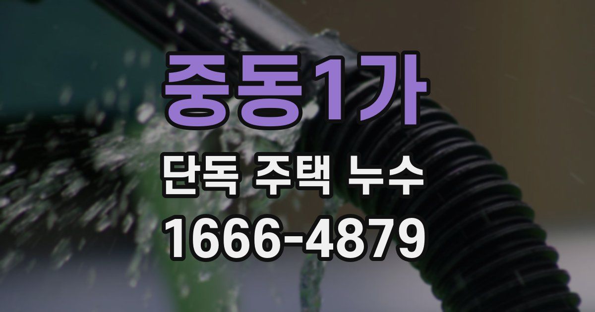 중동1가 단독 주택 누수