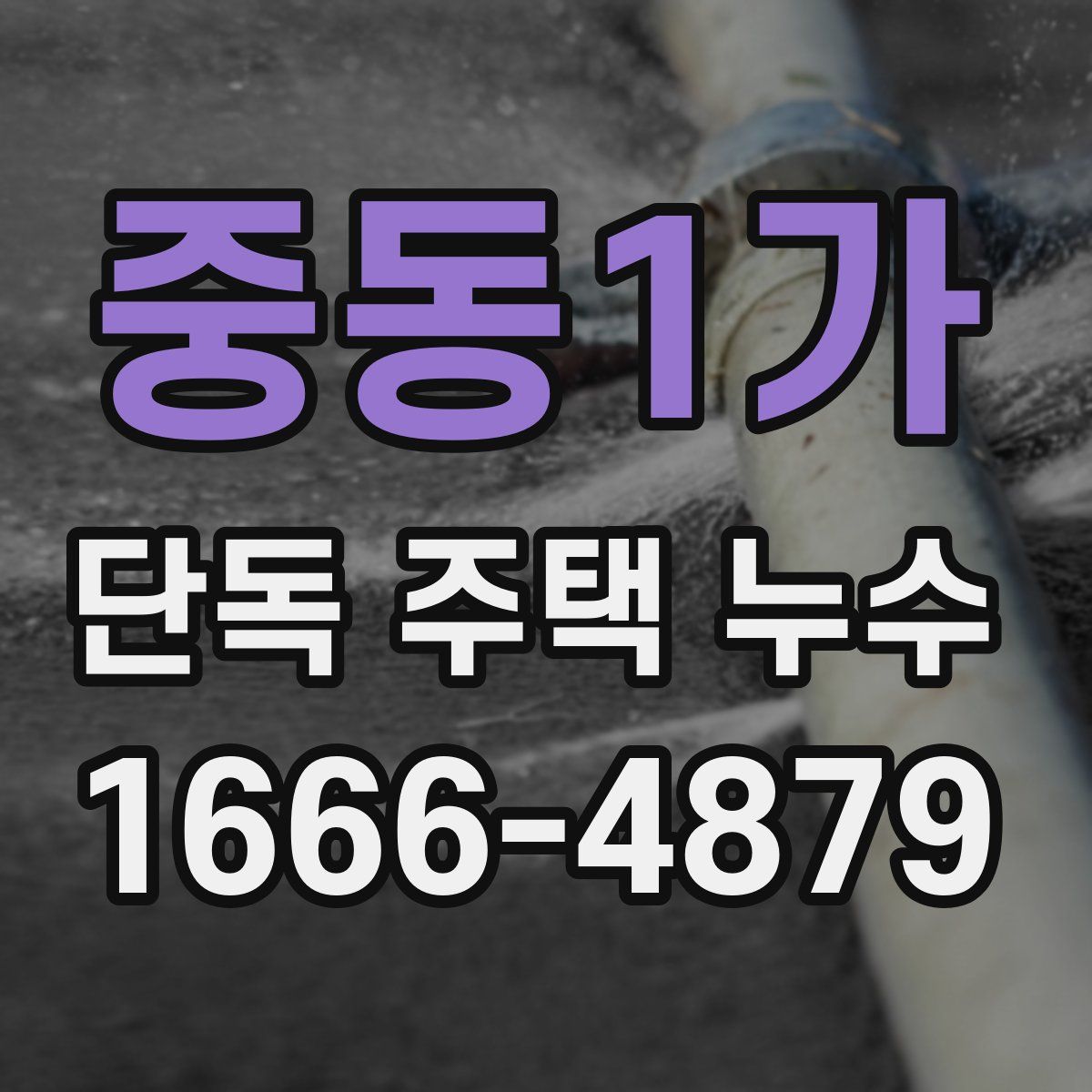 중동1가 단독 주택 누수