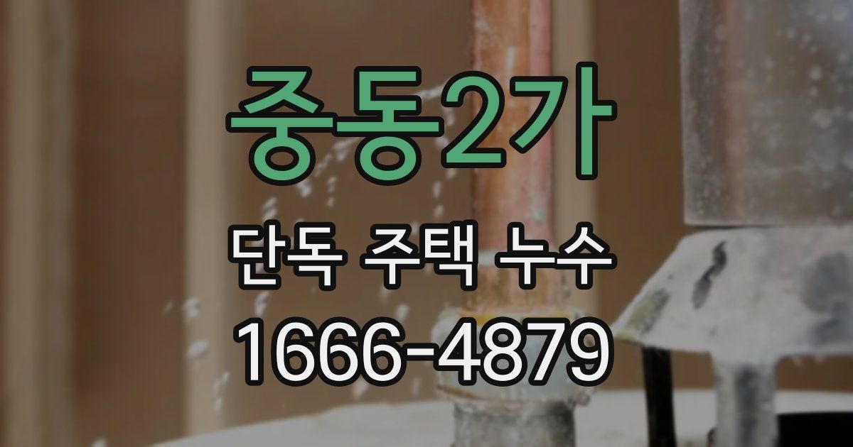 중동2가 단독 주택 누수