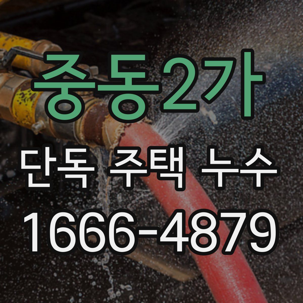 중동2가 단독 주택 누수