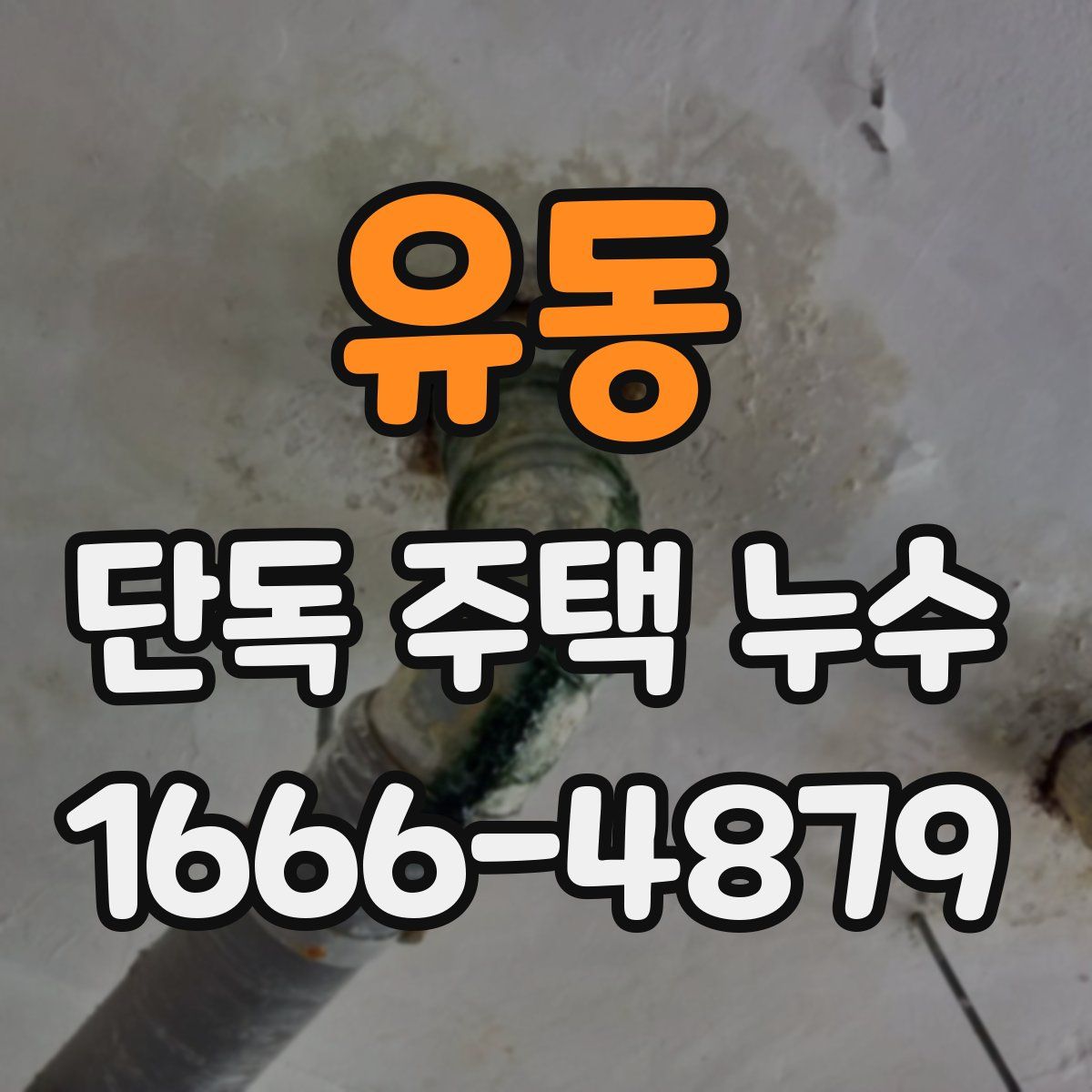 유동 단독 주택 누수