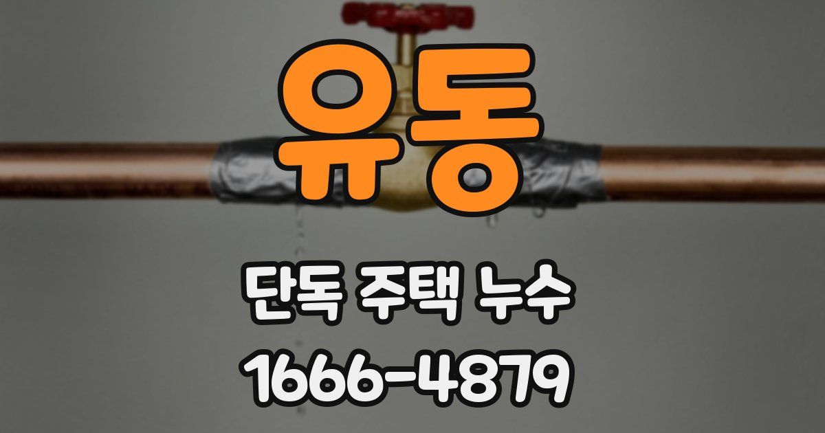 유동 단독 주택 누수