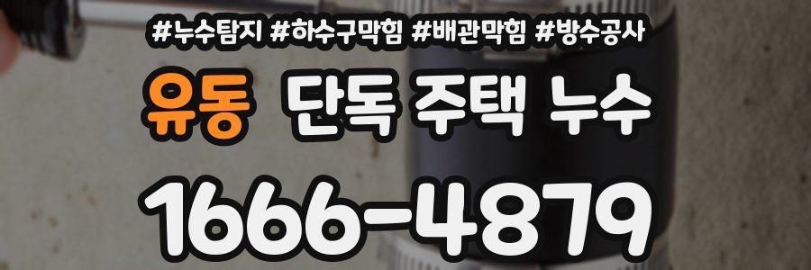 유동 단독 주택 누수